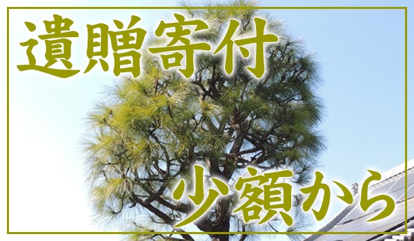 本光寺へのご寄付